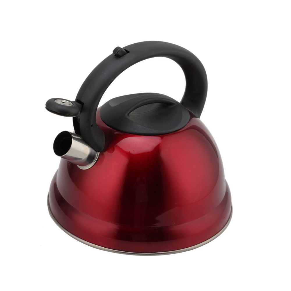 Tea Kettle With Flute-Whistling Kettle — product information