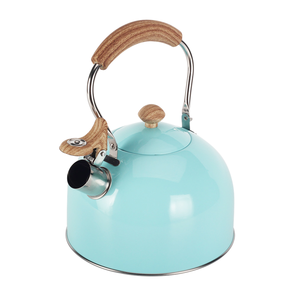 Stainless Steel whistling Kettle — 4
