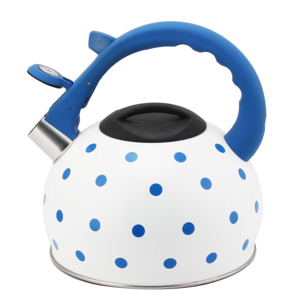 Stainless Steel Tea Kettle With Whistling Sound-Blue — 6