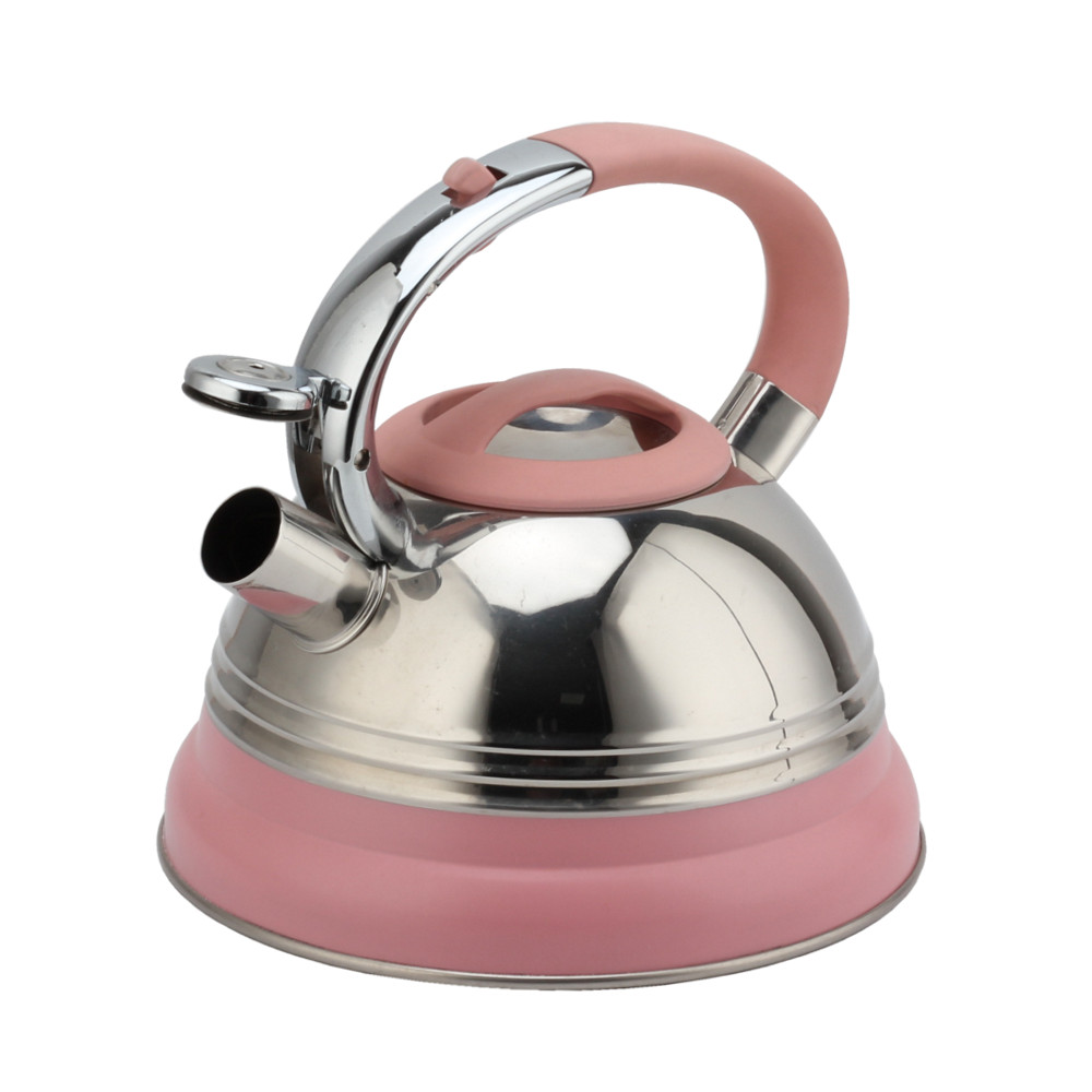 Modern Induction Kettle, Stainless Steel Whistling Kettle, Tea Kettle for All Hobs — product information
