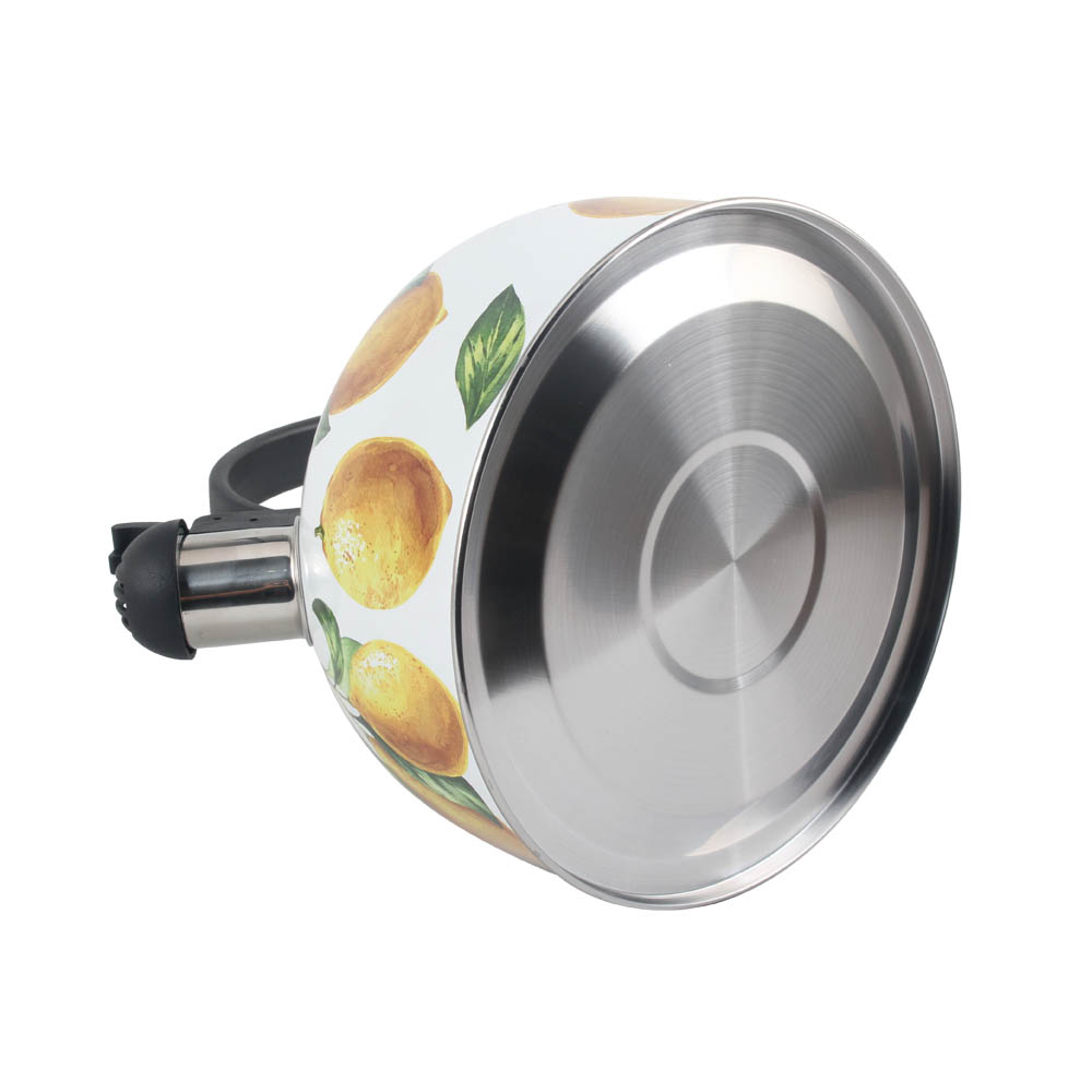 Patterned Stainless Steel Whistling Kettle — 3