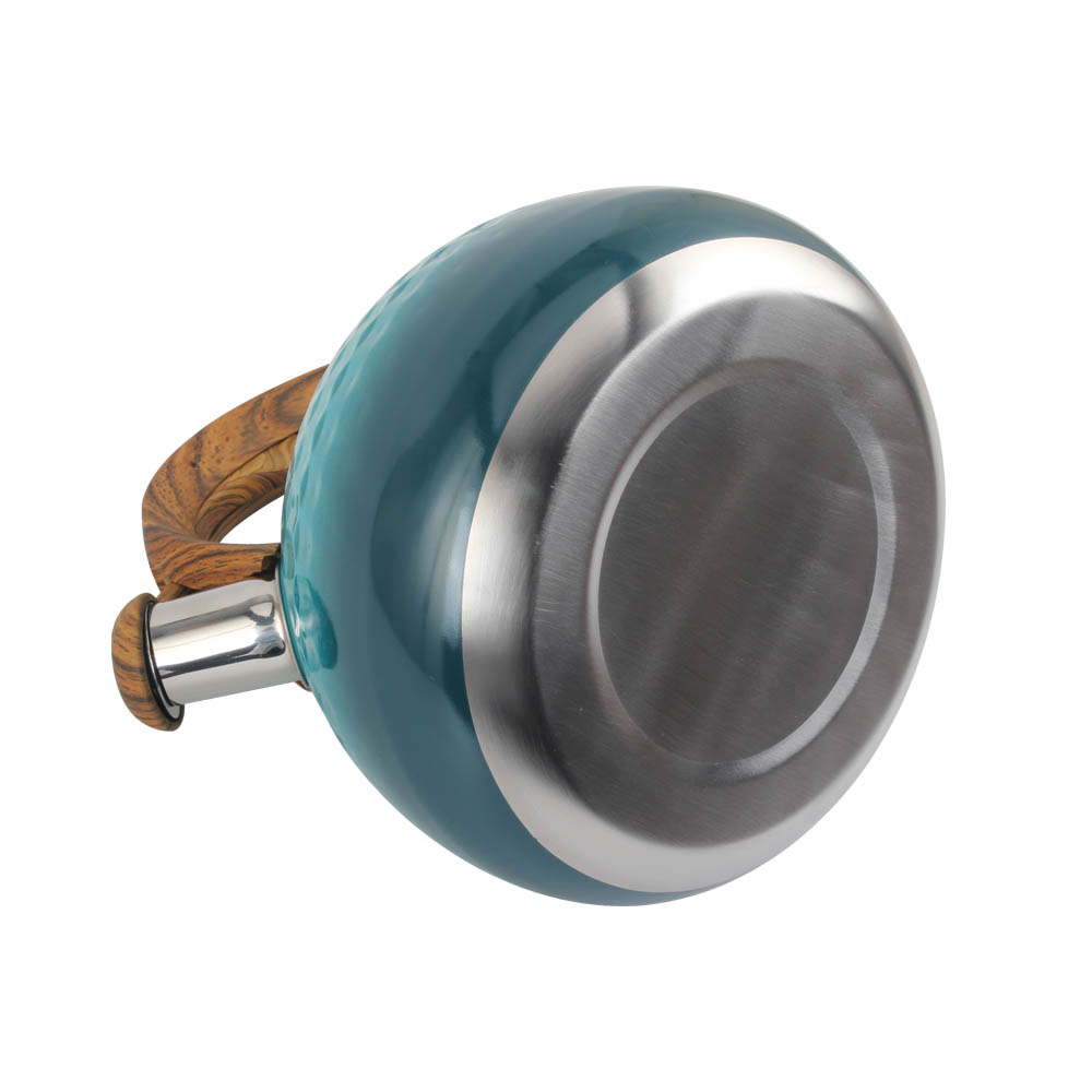 Blue Stainless Steel Whistling Kettle — 2