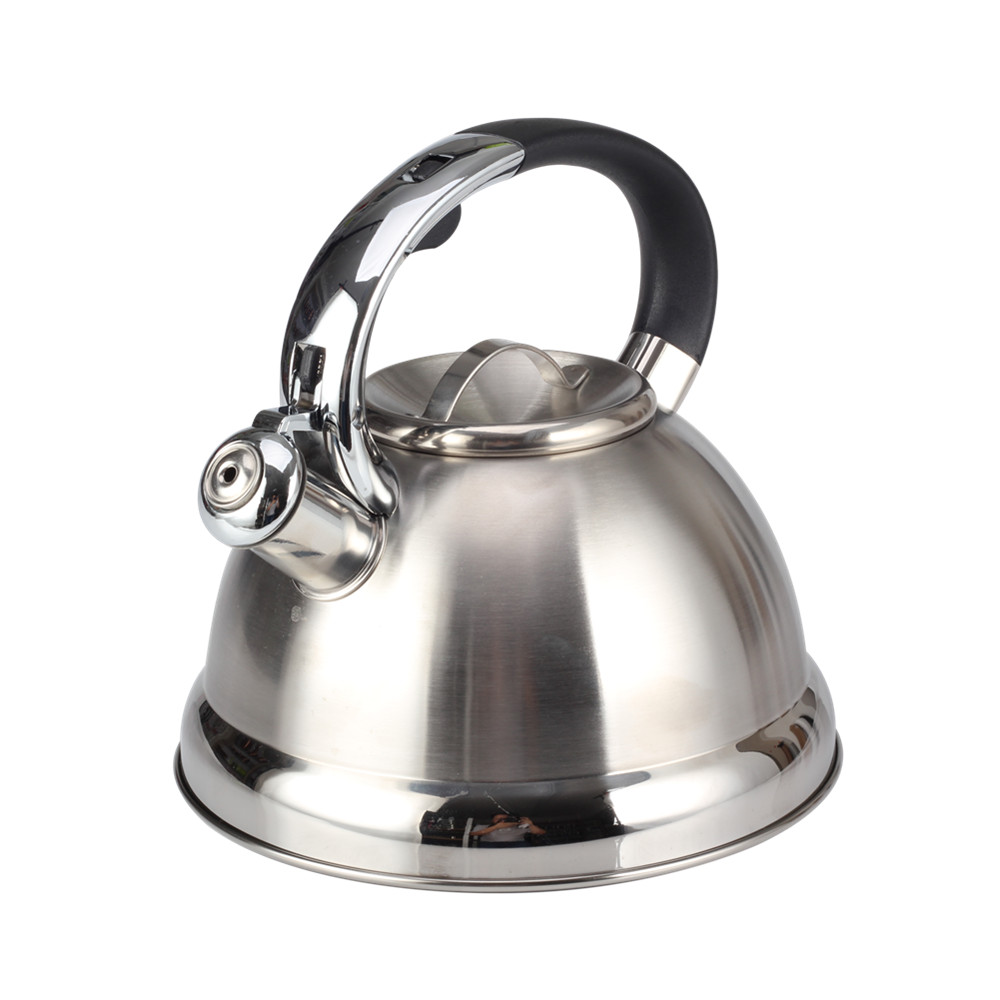 Stainless Steel Whistling Tea Kettle for Kitchen — 5