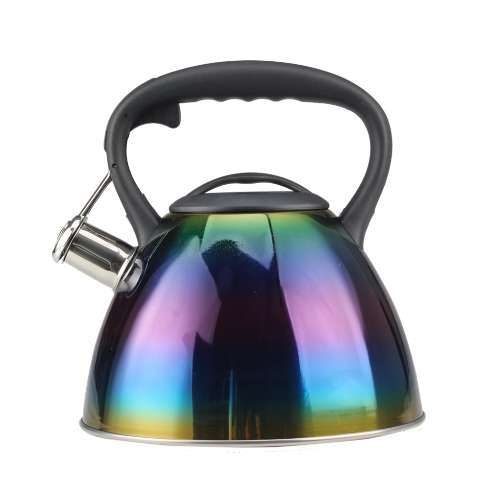 Classic Stainless Steel Whistling Tea Kettle With Silicone Handle — product information