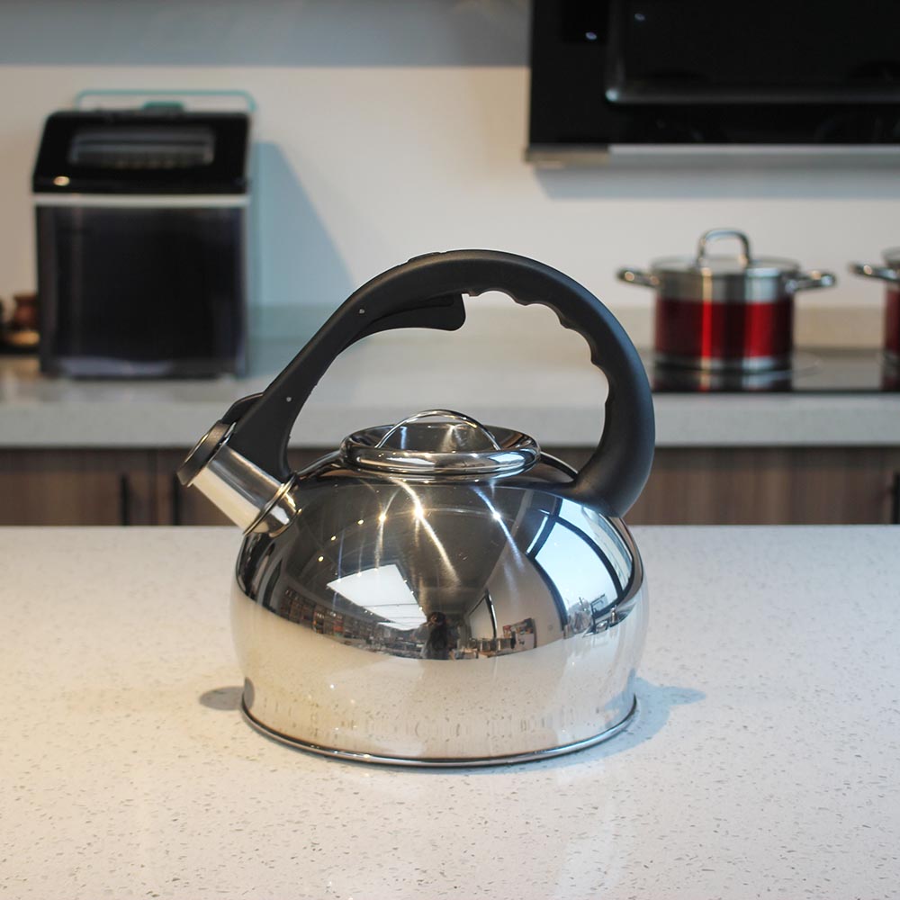 Stainless Steel whistling Kettle — product information
