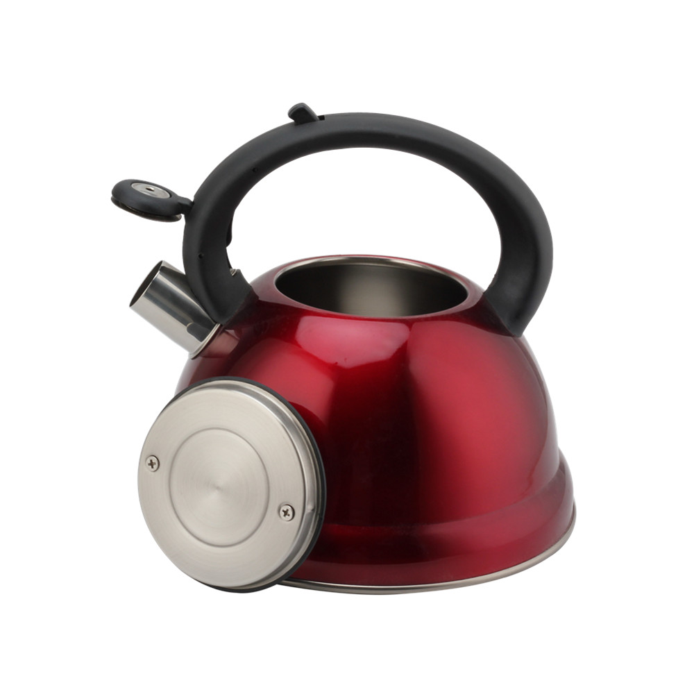 Tea Kettle With Flute-Whistling Kettle — 5