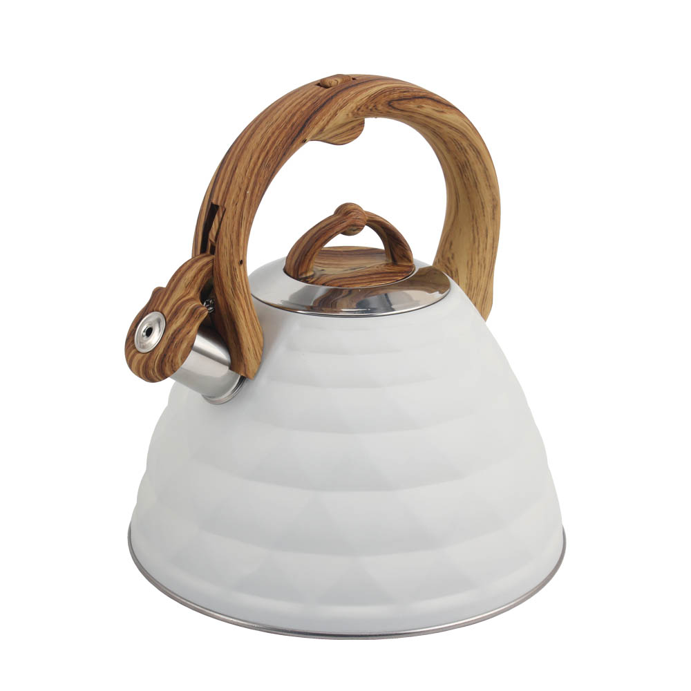 Stainless Steel Whistling Kettle (White) — product information