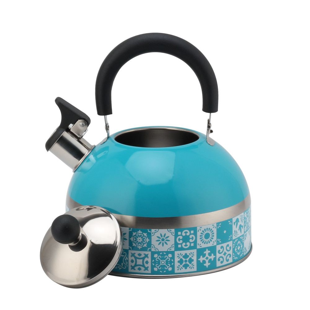 Stainless Steel Tea Kettle With Whistling Sound — 5
