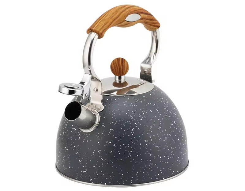 Stainless Steel Tea Kettle — 5