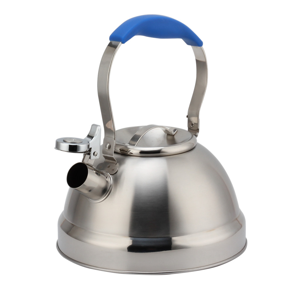 Stainless Steel Whistling Kettle - Tea Kettle for Stove - Blue Handle — product information