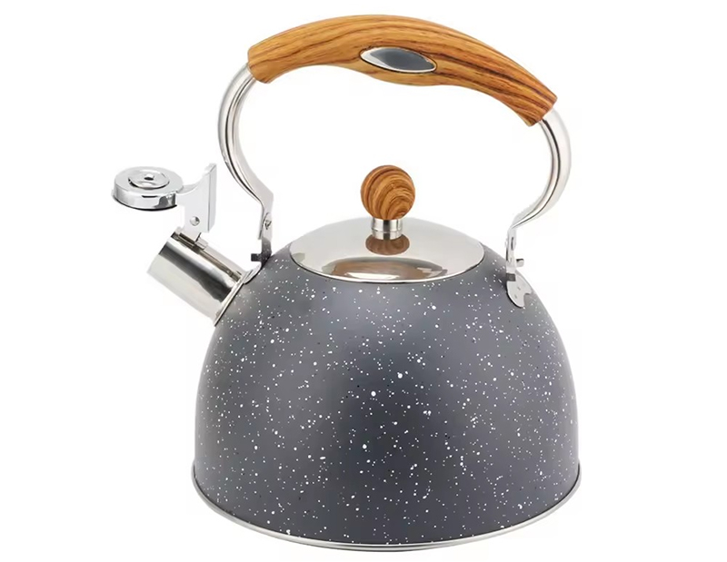 Stainless Steel Tea Kettle — 4