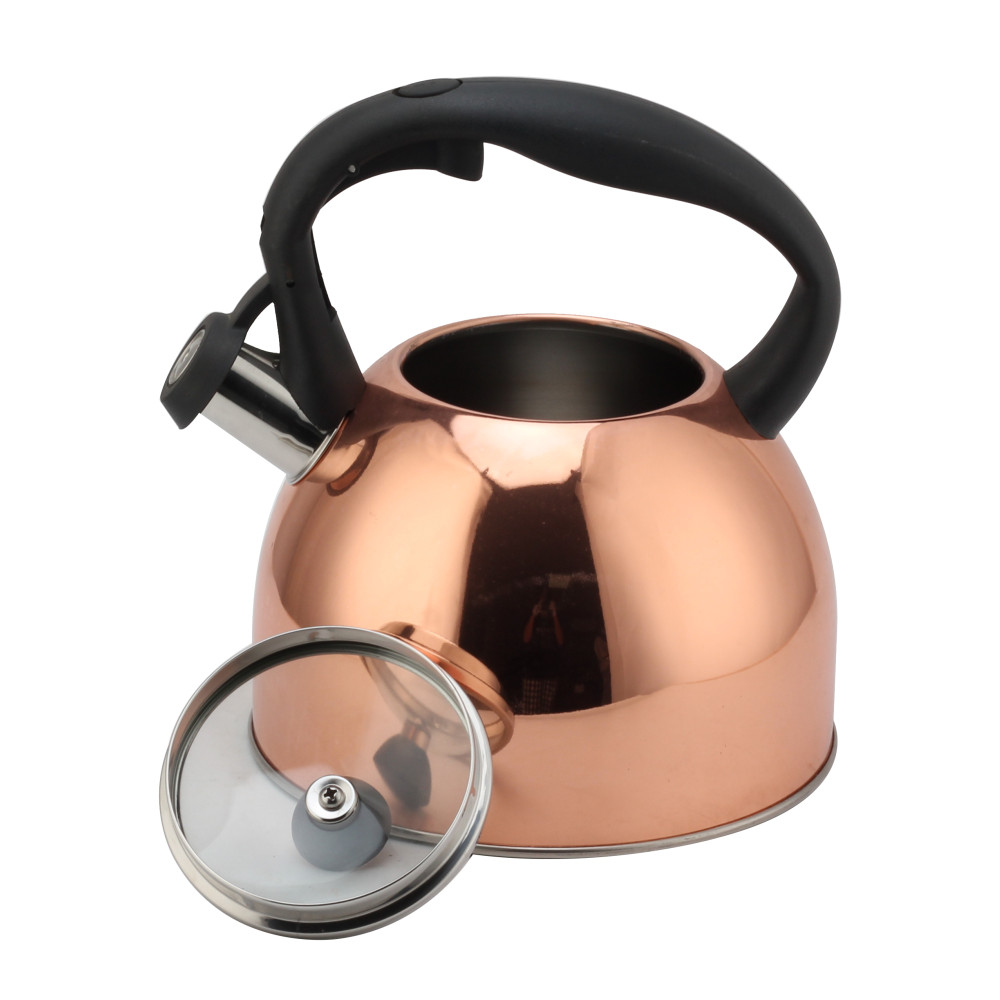 Fashionable S/S Whistling Kettle for Kitchen — 5