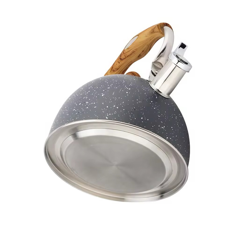 Stainless Steel Tea Kettle — 7