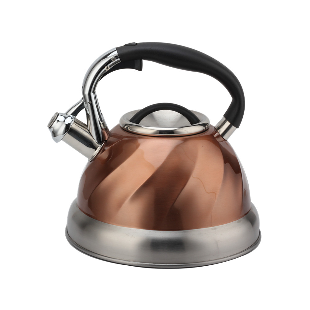 Whistling Tea Kettle, Whistling Kettle for Kitchen — 2