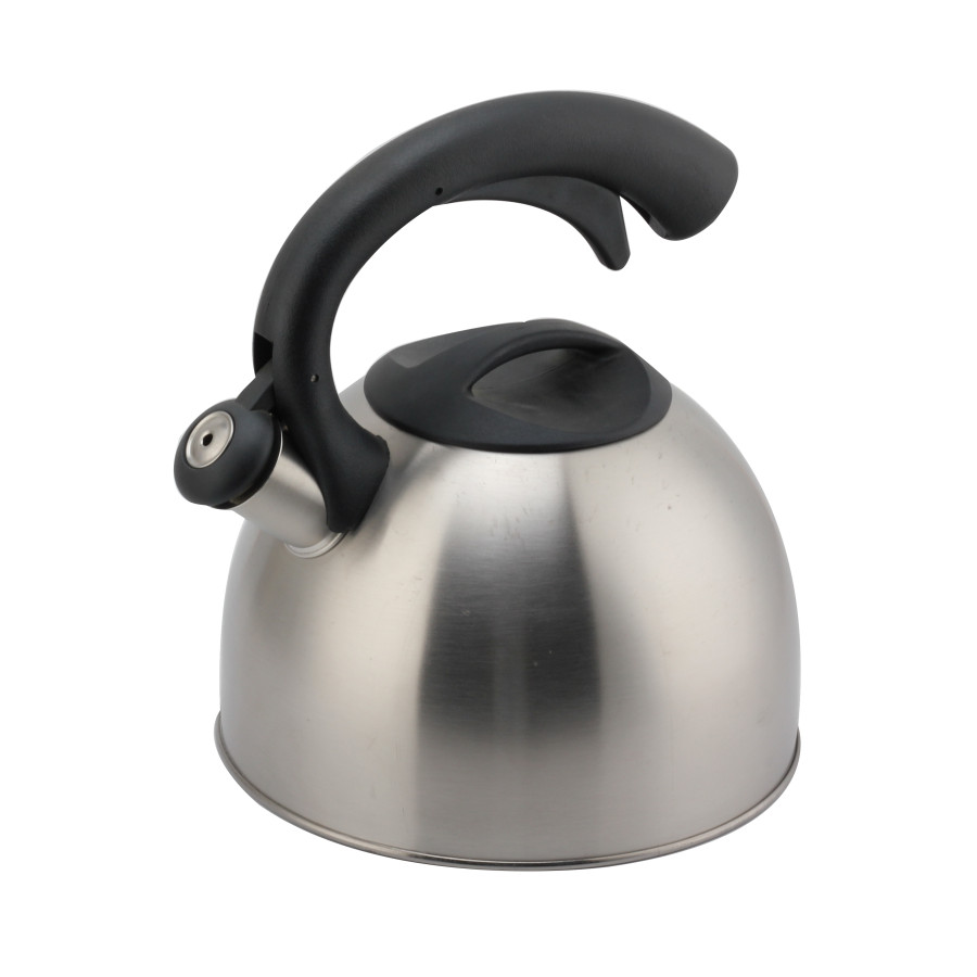 Whistling Teapot With Handle for Induction And Gas — 6