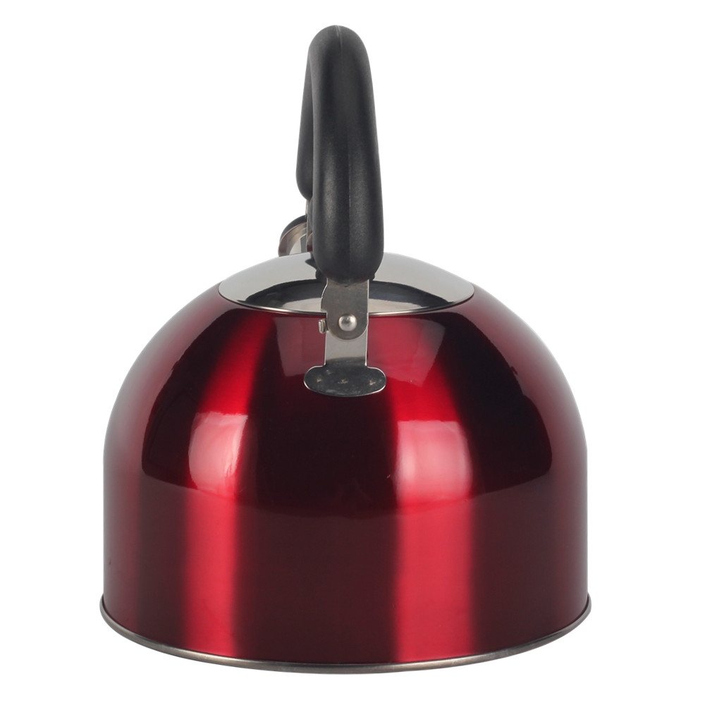 Stainless Steel whistling Kettle — 2