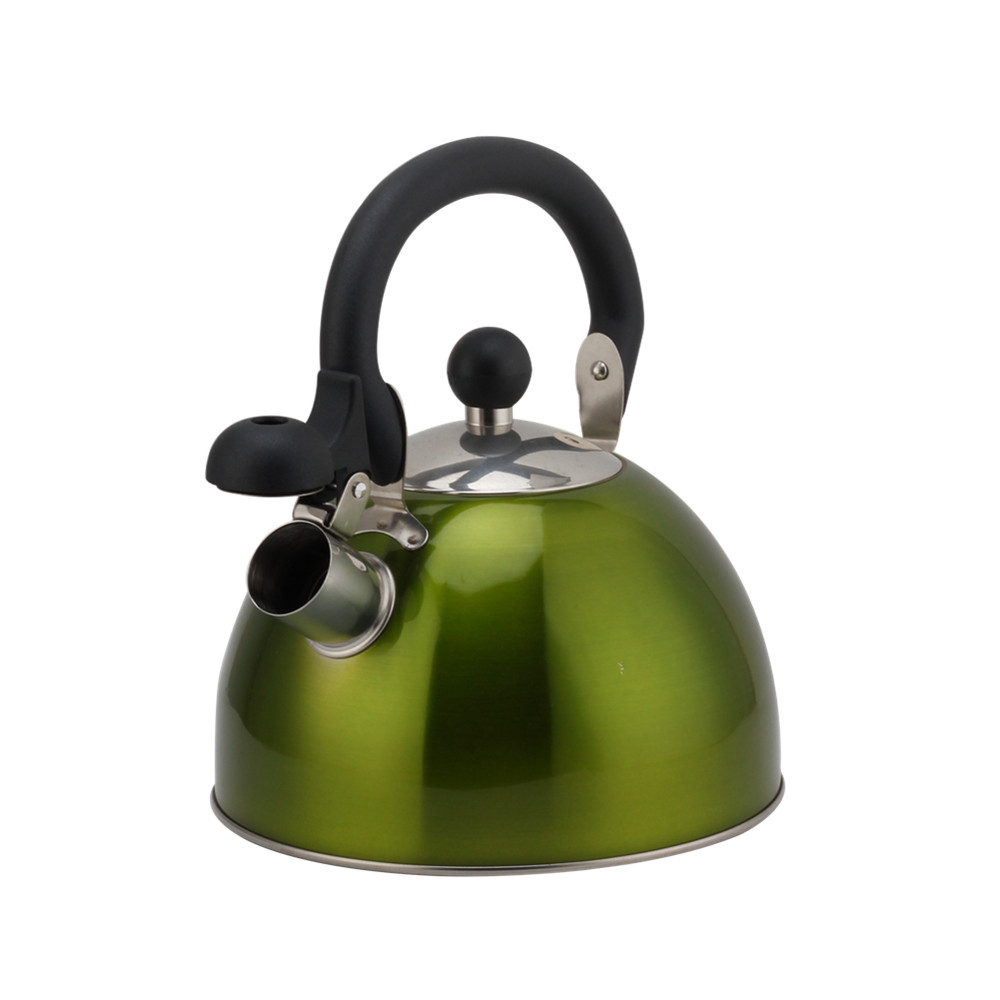 Stainless Steel Whistling Kettle, Ergonomic Handle, Green Color — 3