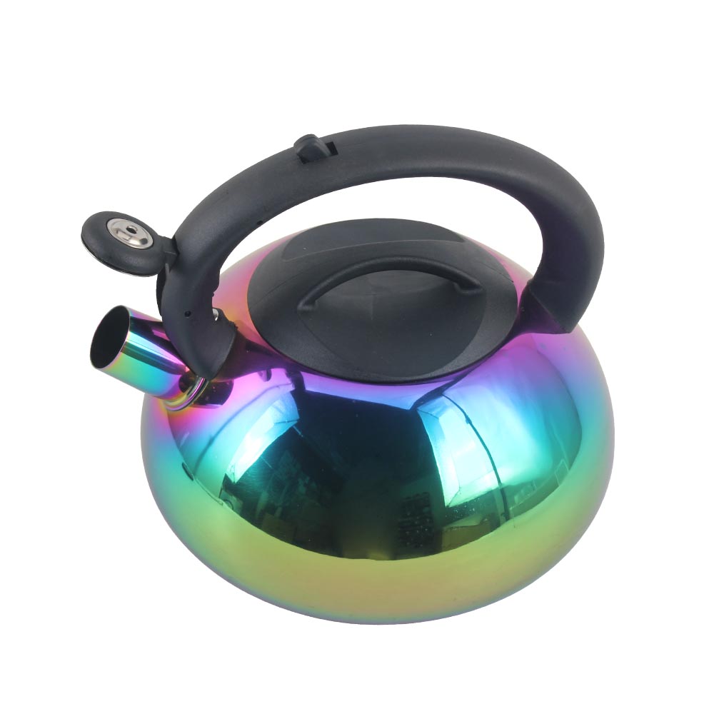 Stainless Steel whistling Kettle — 2