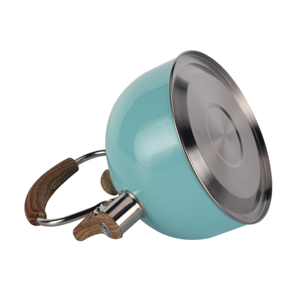 Mint Green Stainless Steel Whistling Tea Kettle — 3