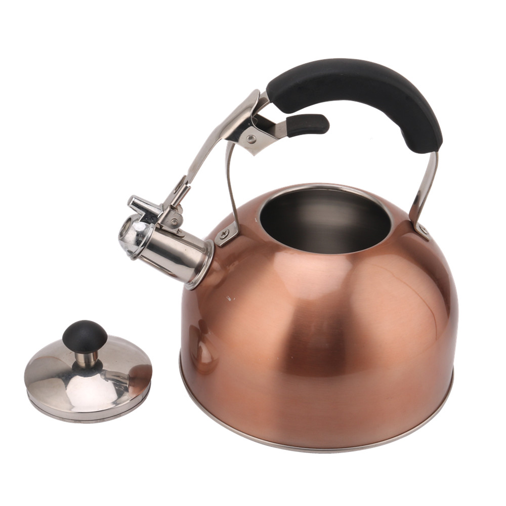 Stainless Steel Whistling Tea Kettle for Stove — 4