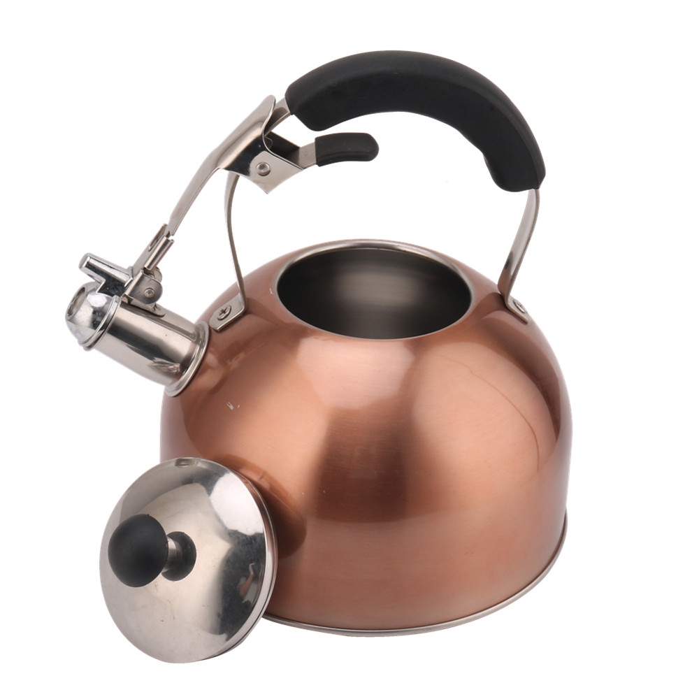 Stainless Steel Whistling Tea Kettle for Stove — product information