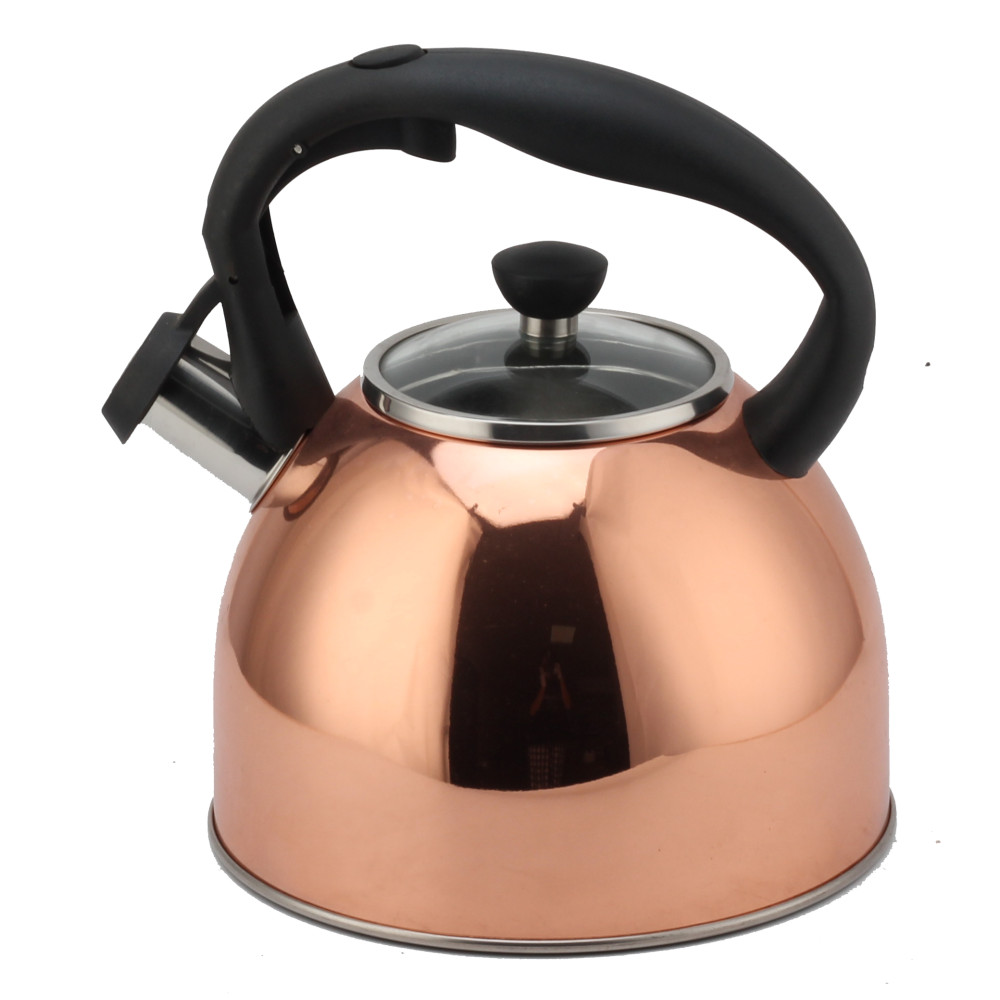 Fashionable S/S Whistling Kettle for Kitchen