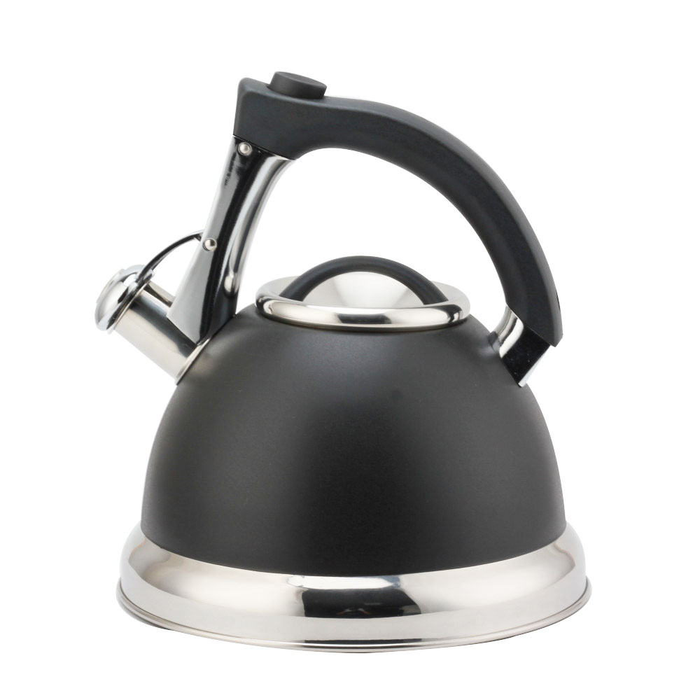 S/S Whistling Kettle With Handle — product information