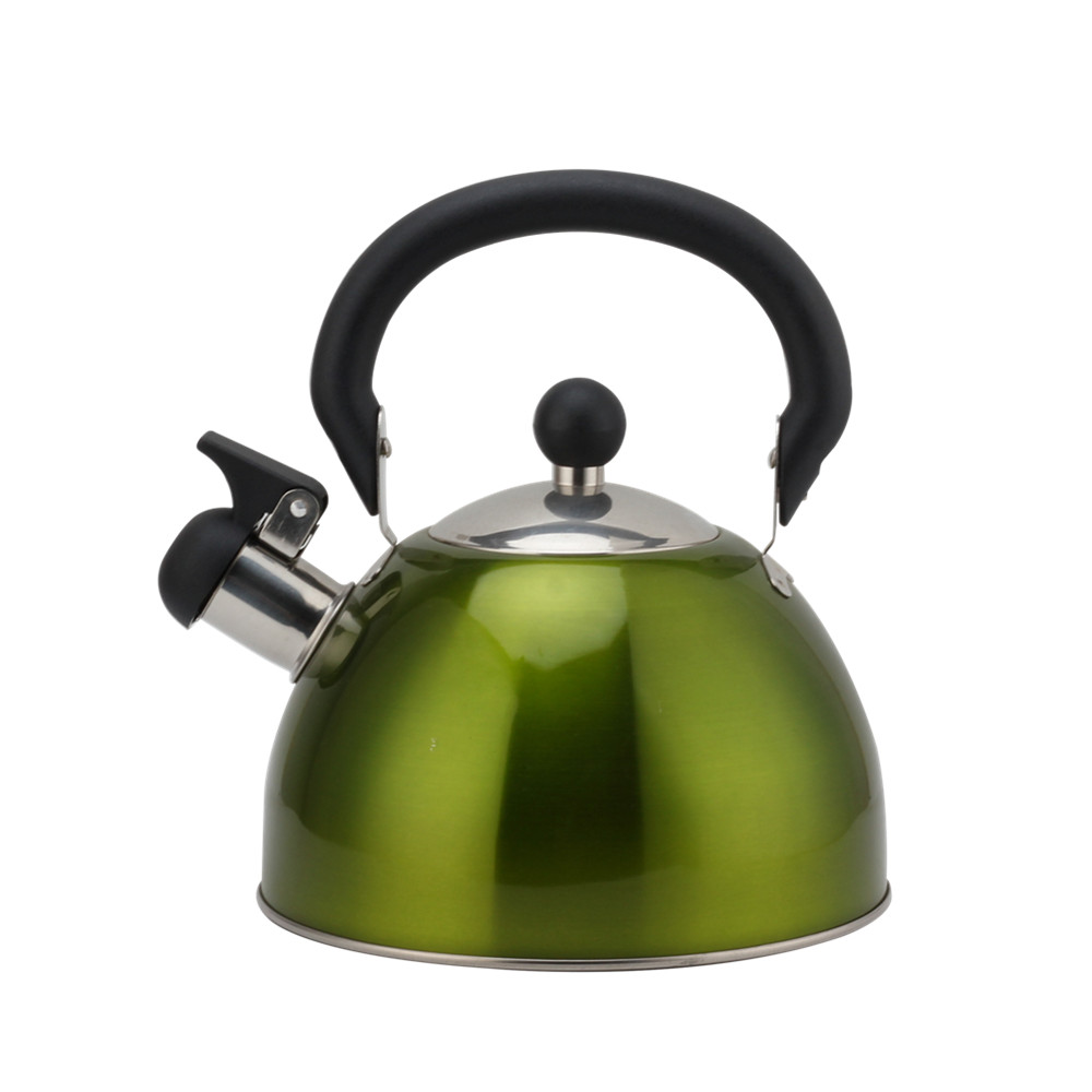 Stainless Steel Whistling Kettle, Ergonomic Handle, Green Color — product information