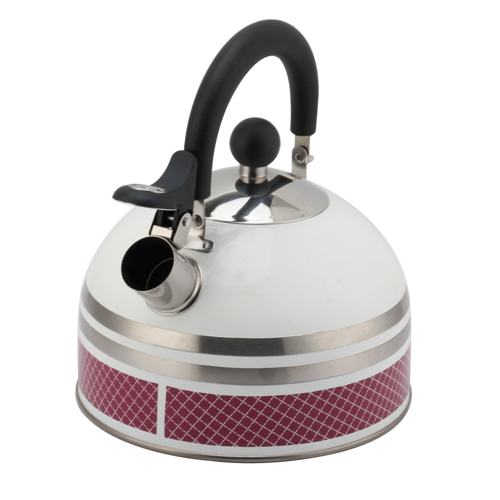 S/S Tea Kettle With Whistling Sound-Suitable for All Hob Types — product information