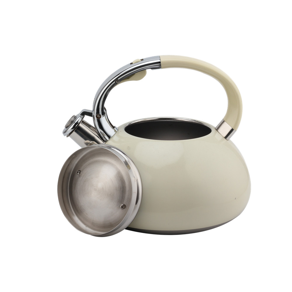 Kettle With Flute-Tea Kettle-Stainless Steel-Induction — 6