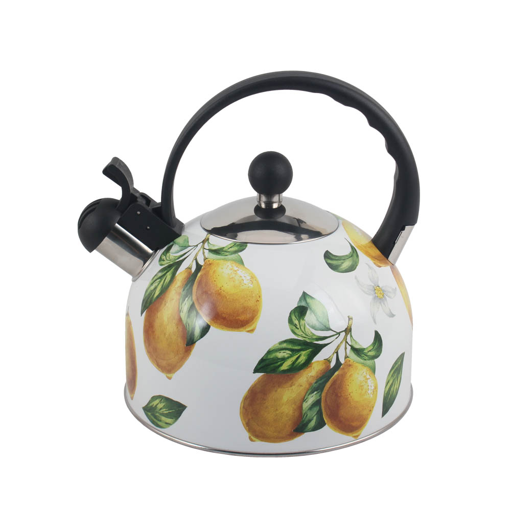 Patterned Stainless Steel Whistling Kettle — 6