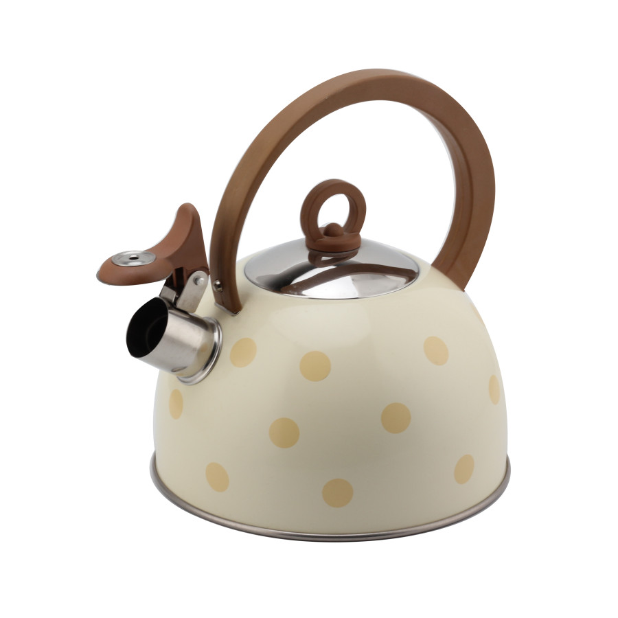 Stainless Steel Whistling Kettle for Tea — 4
