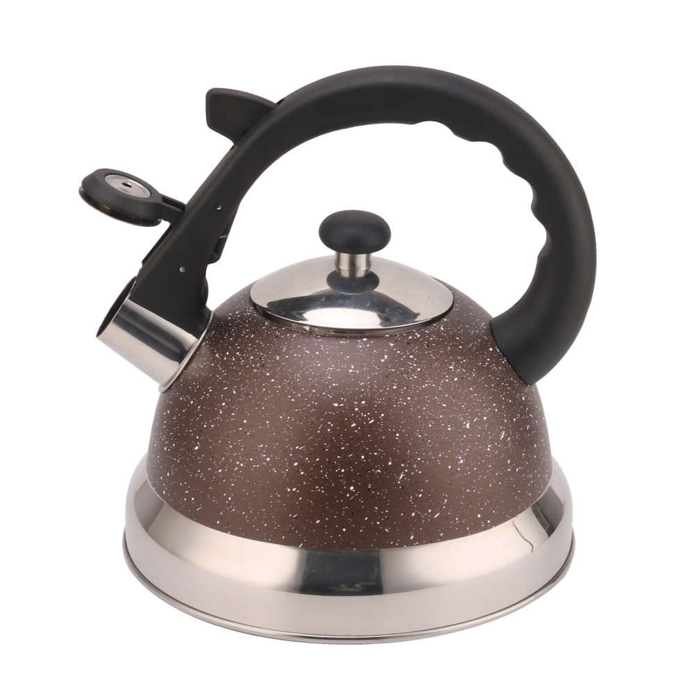 Stainless Steel Whistling Tea Kettle With Silicone Handle Coffee And Tea Sets — 2