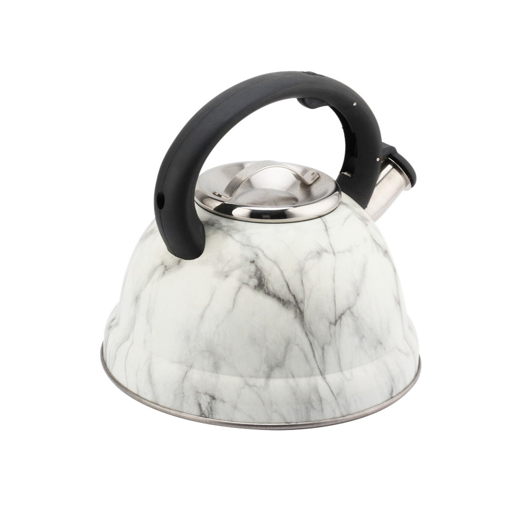 Modern Fashionable Whistling Kettle- Stainless Steel-Tea Set — 4
