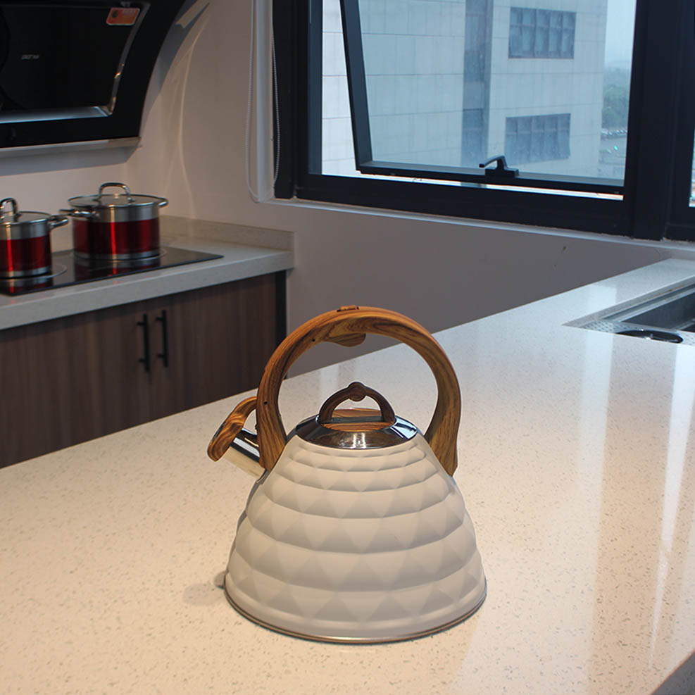 Stainless Steel whistling Kettle — product information