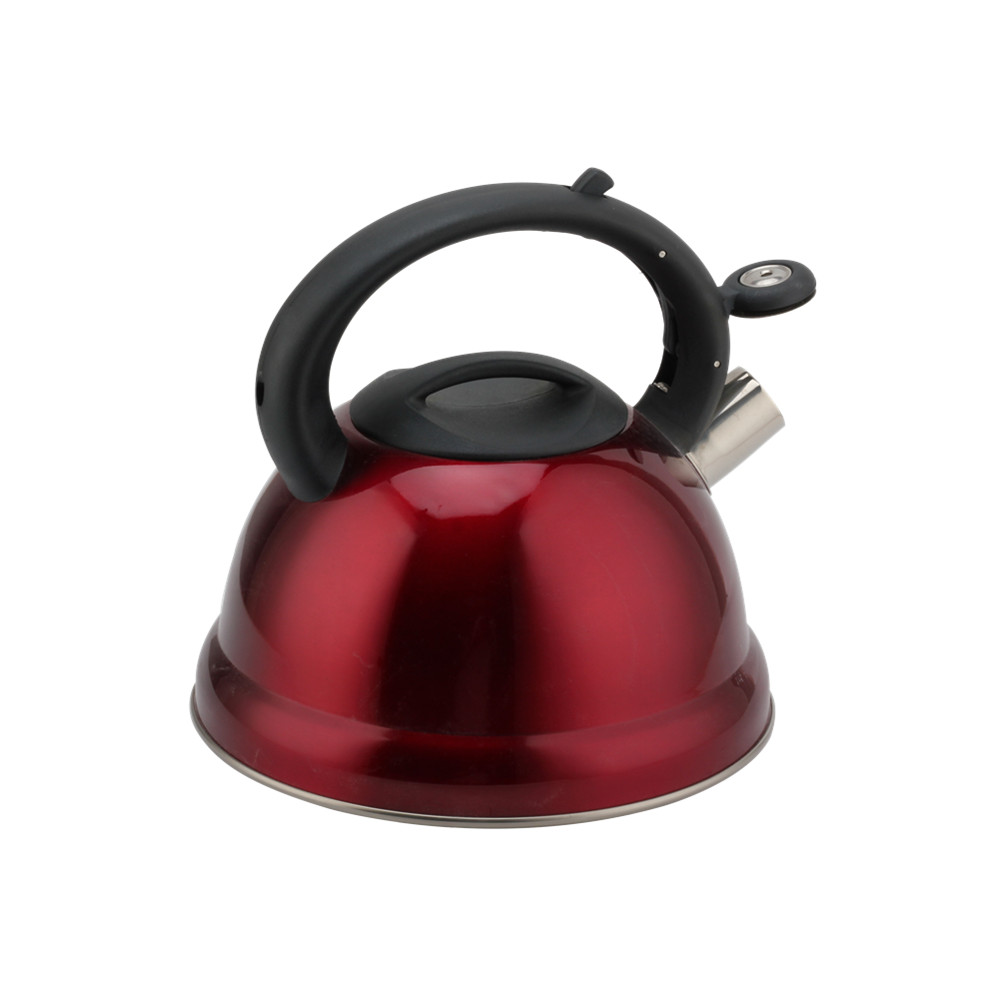 Tea Kettle With Flute-Whistling Kettle — 2
