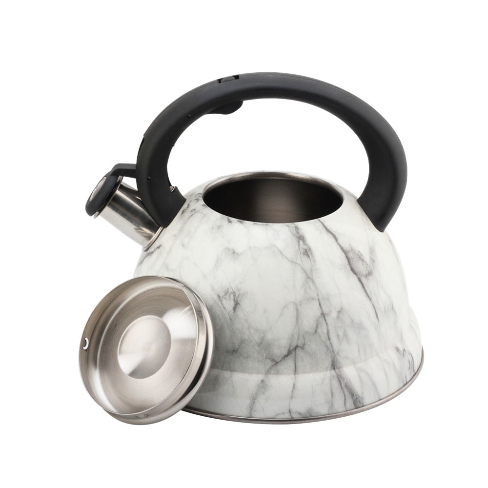 Modern Fashionable Whistling Kettle- Stainless Steel-Tea Set — 5