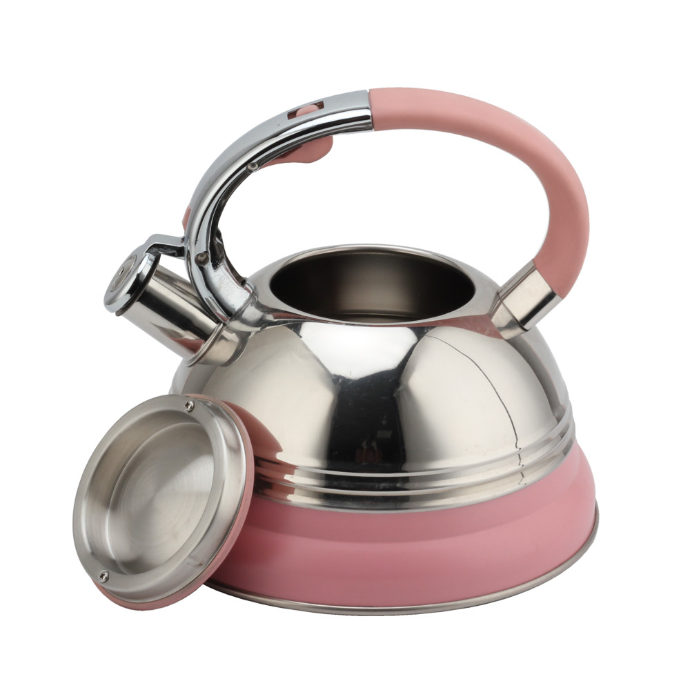 Modern Induction Kettle, Stainless Steel Whistling Kettle, Tea Kettle for All Hobs — product information