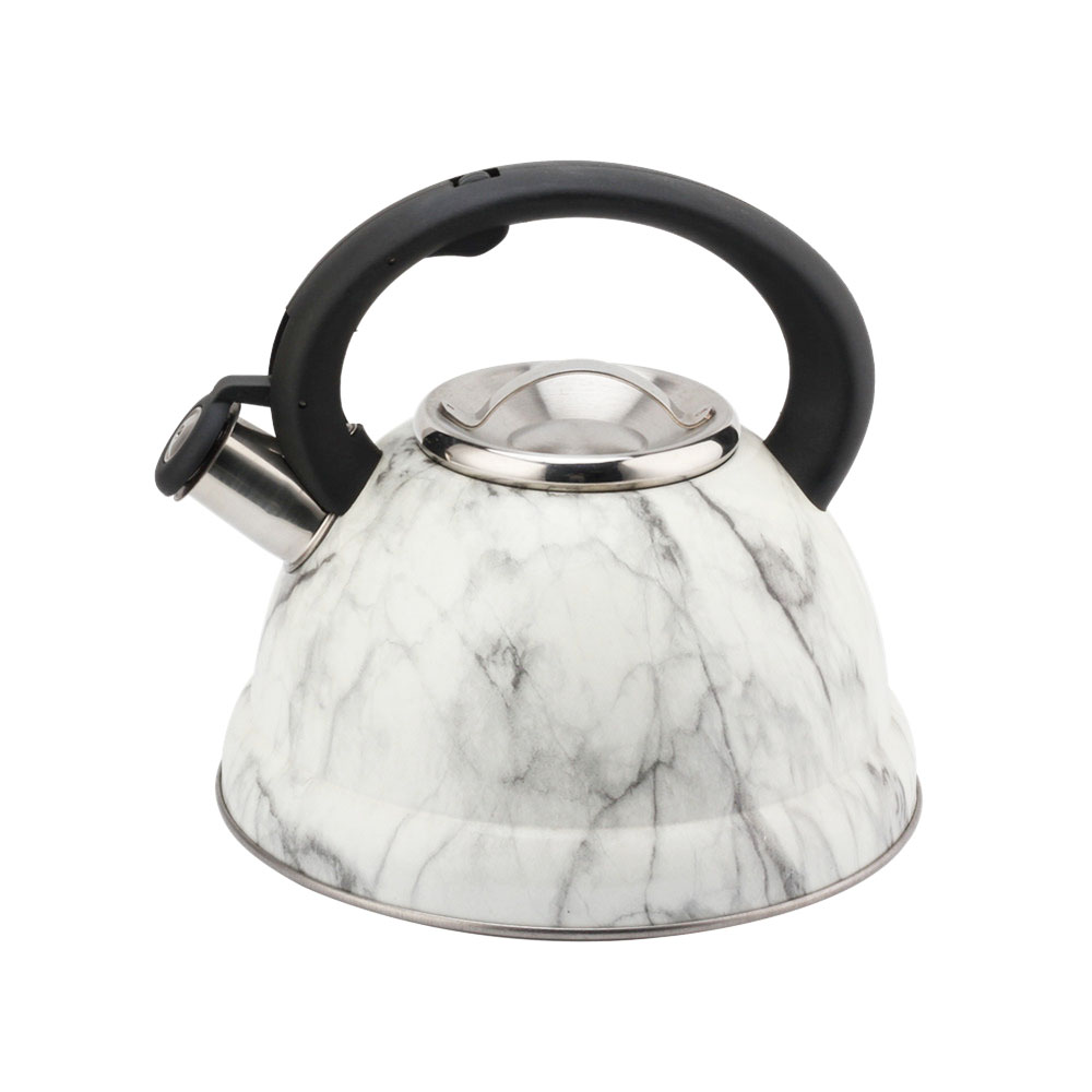 Modern Fashionable Whistling Kettle- Stainless Steel-Tea Set — product information