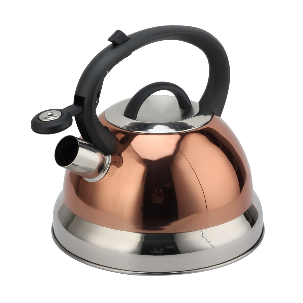 S/S Whistling Teapot With Handle for Induction And Gas — product information
