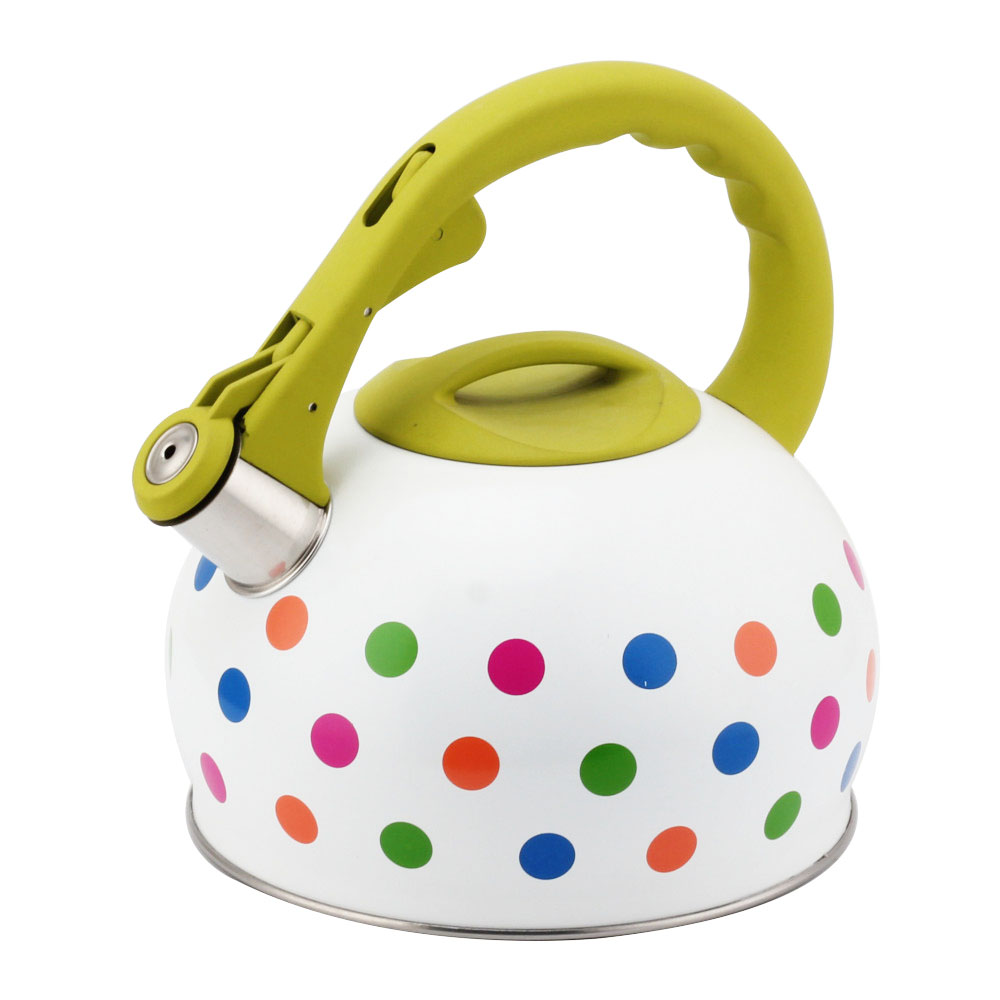 Stainless Steel Tea Kettle With Whistling Sound-Green Handle — 5