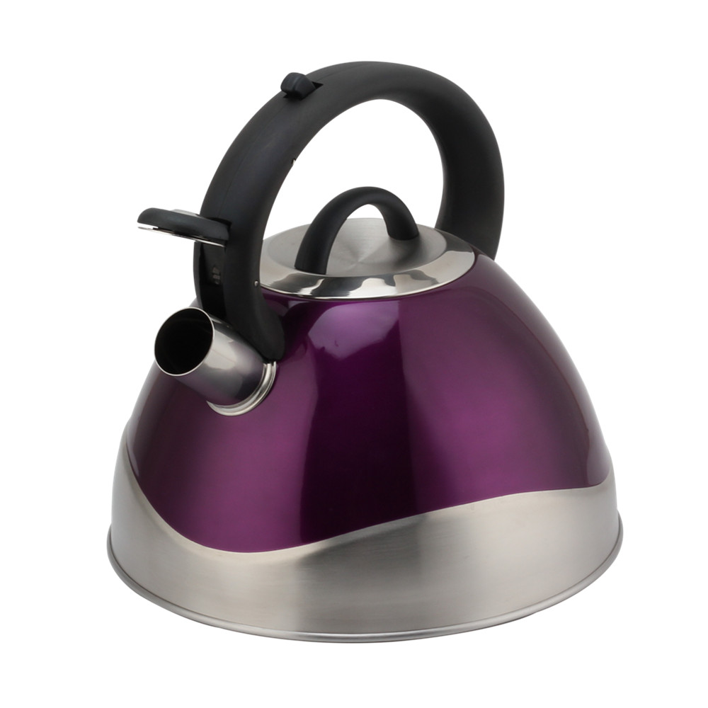 Stainless Steel Whistling Kettle - Tea Kettle for Stove - Teapot Suitable for Induction And Gas — 2