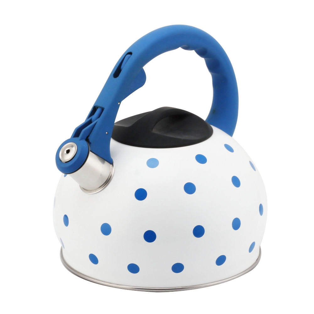 Stainless Steel Tea Kettle With Whistling Sound-Blue