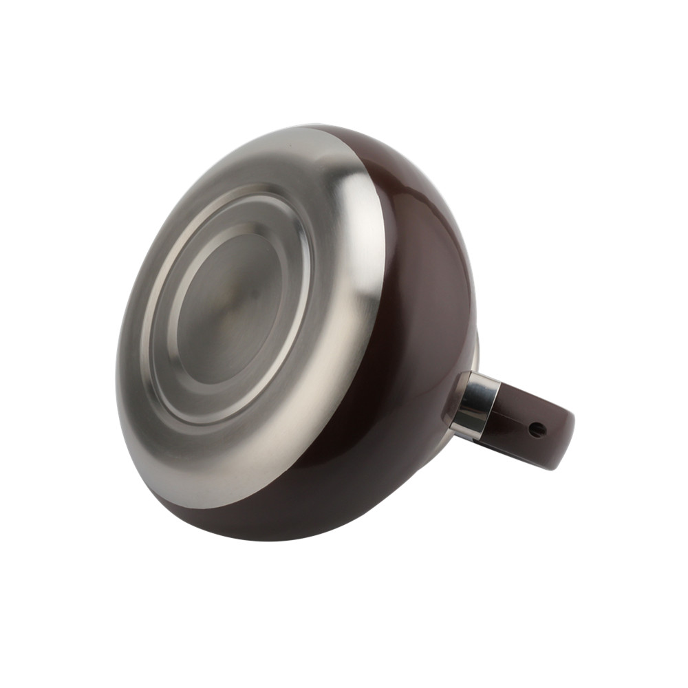 Whistling Kettle-Kettle With Flute-Tea Kettle-Stainless Steel-Induction — 7