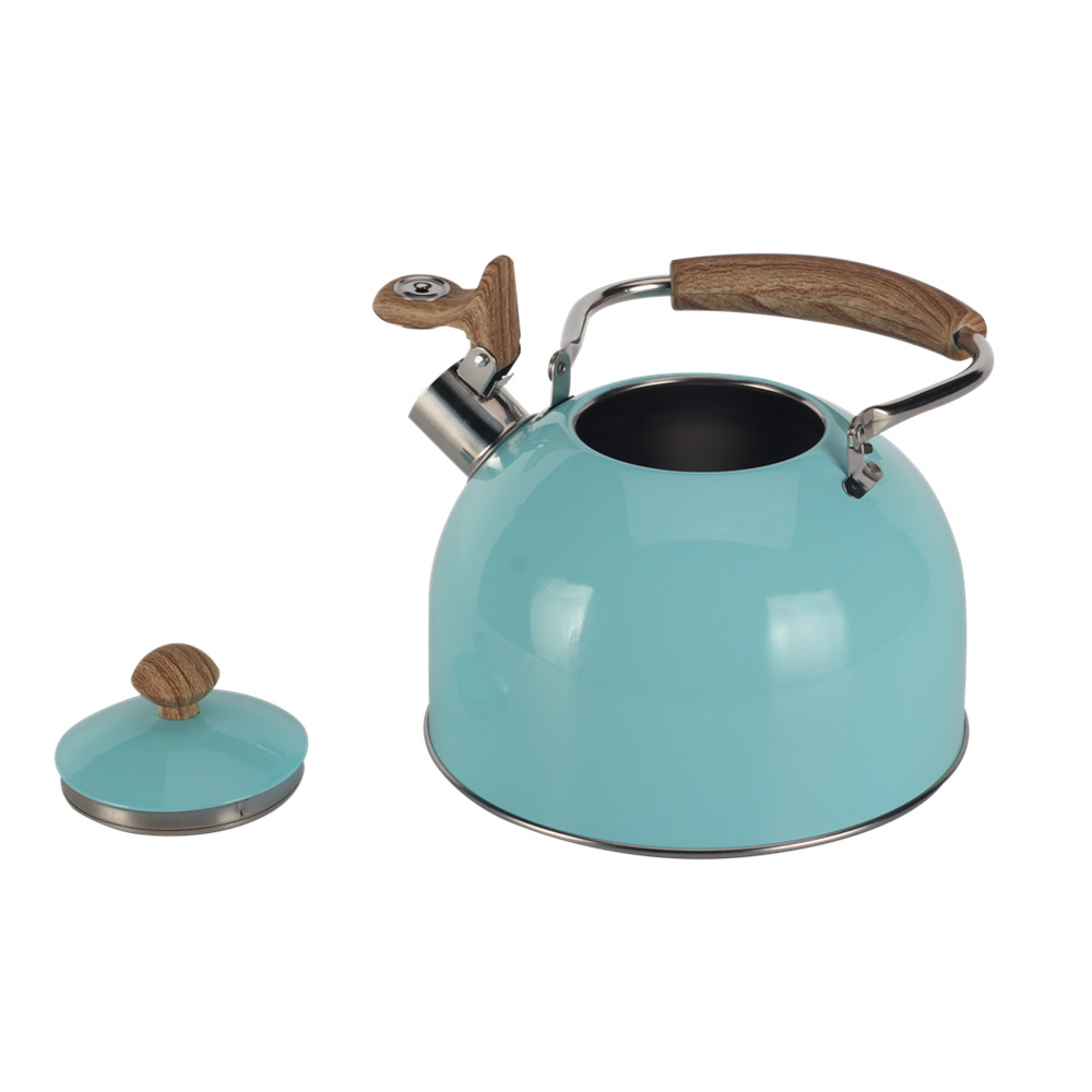 Mint Green Stainless Steel Whistling Tea Kettle — 2