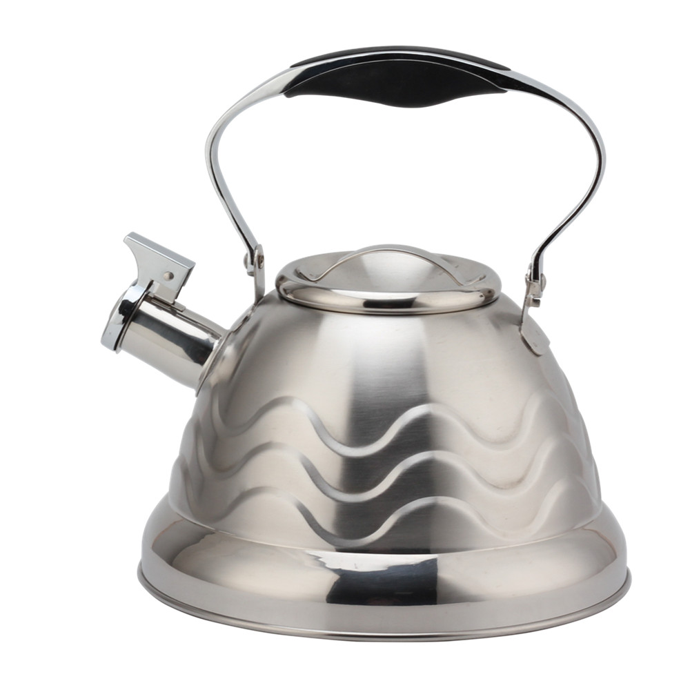 Stainless Steel Whistling Kettle, Tea Kettle for All Hobs
