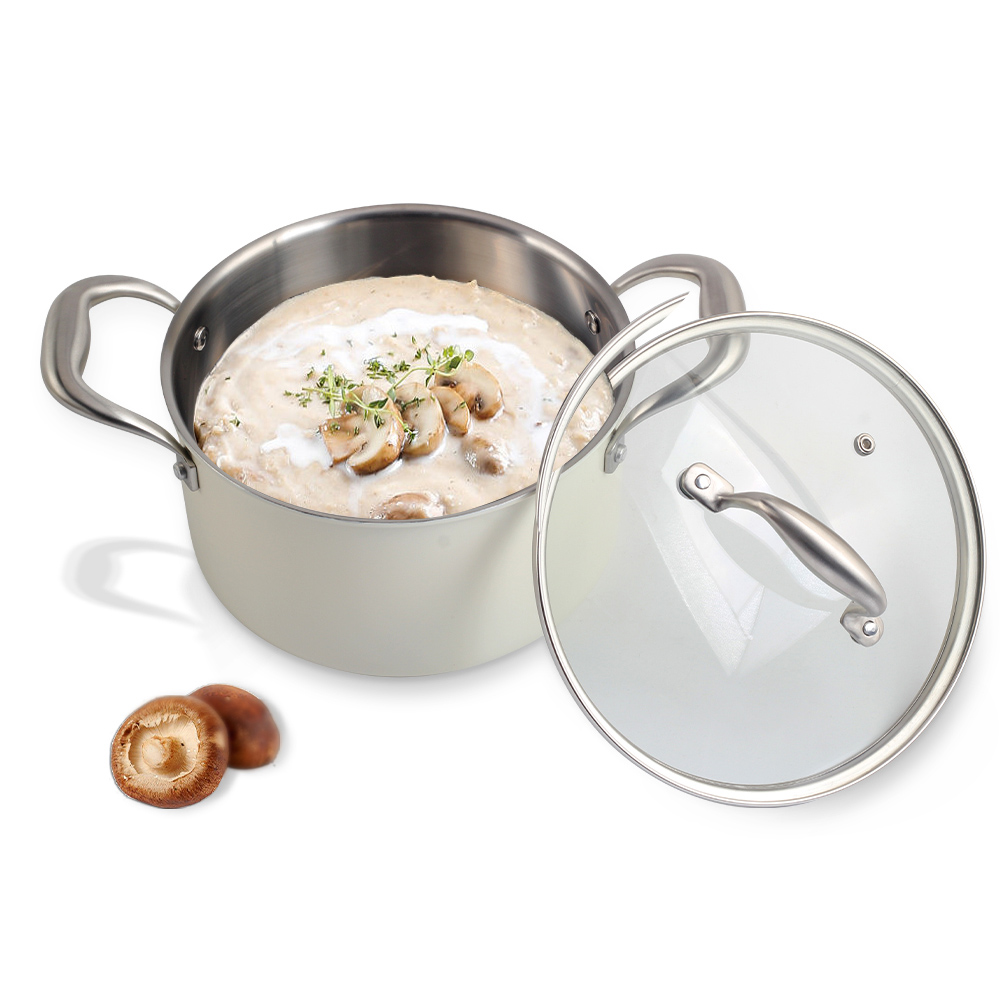 Tri-Ply Stainless Steel 5 Qt Stock Pot With Lid — 6
