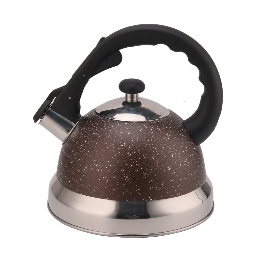 3 Litre Capacity Stainless Steel Whistling Kettle — product information