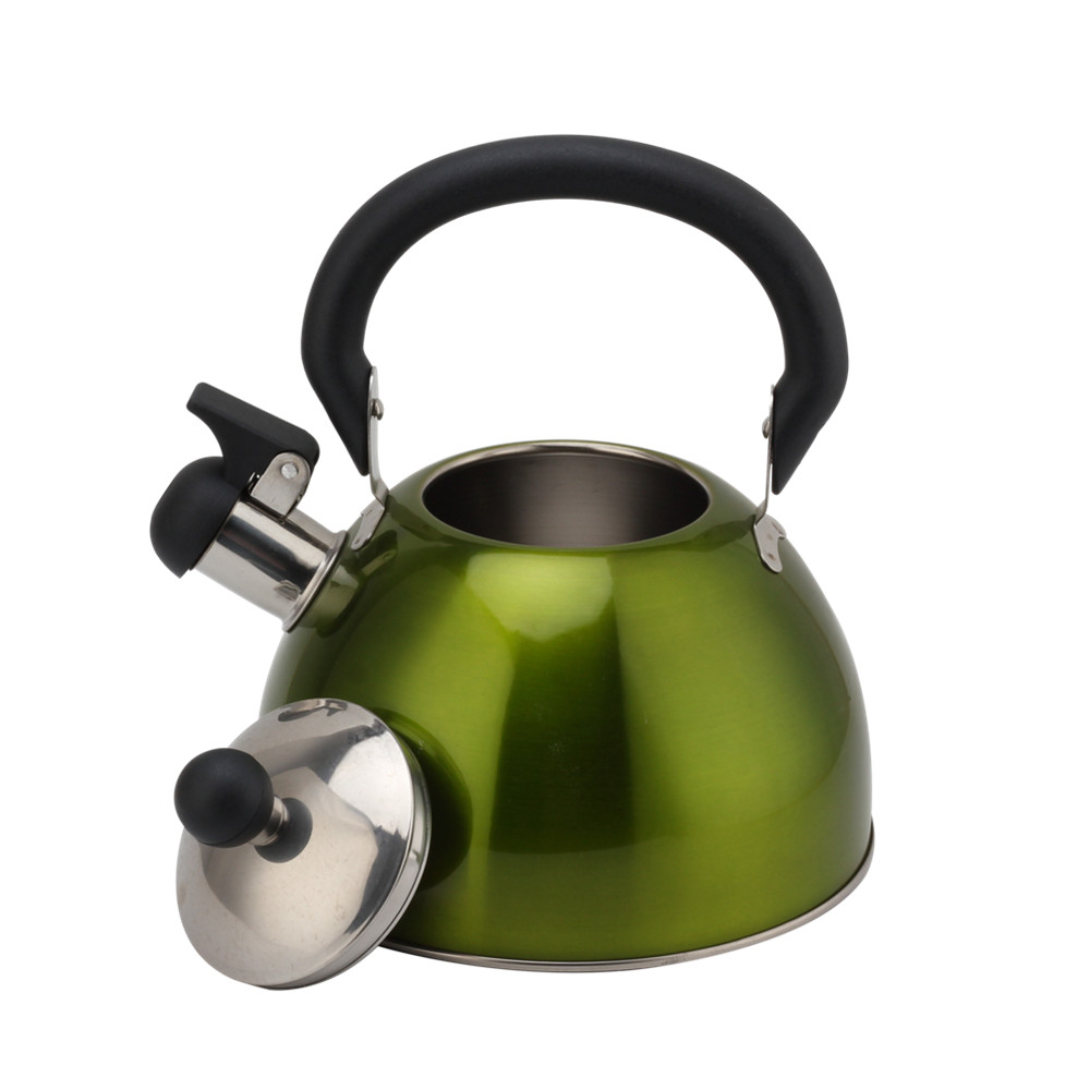 Stainless Steel Whistling Kettle, Ergonomic Handle, Green Color — 6