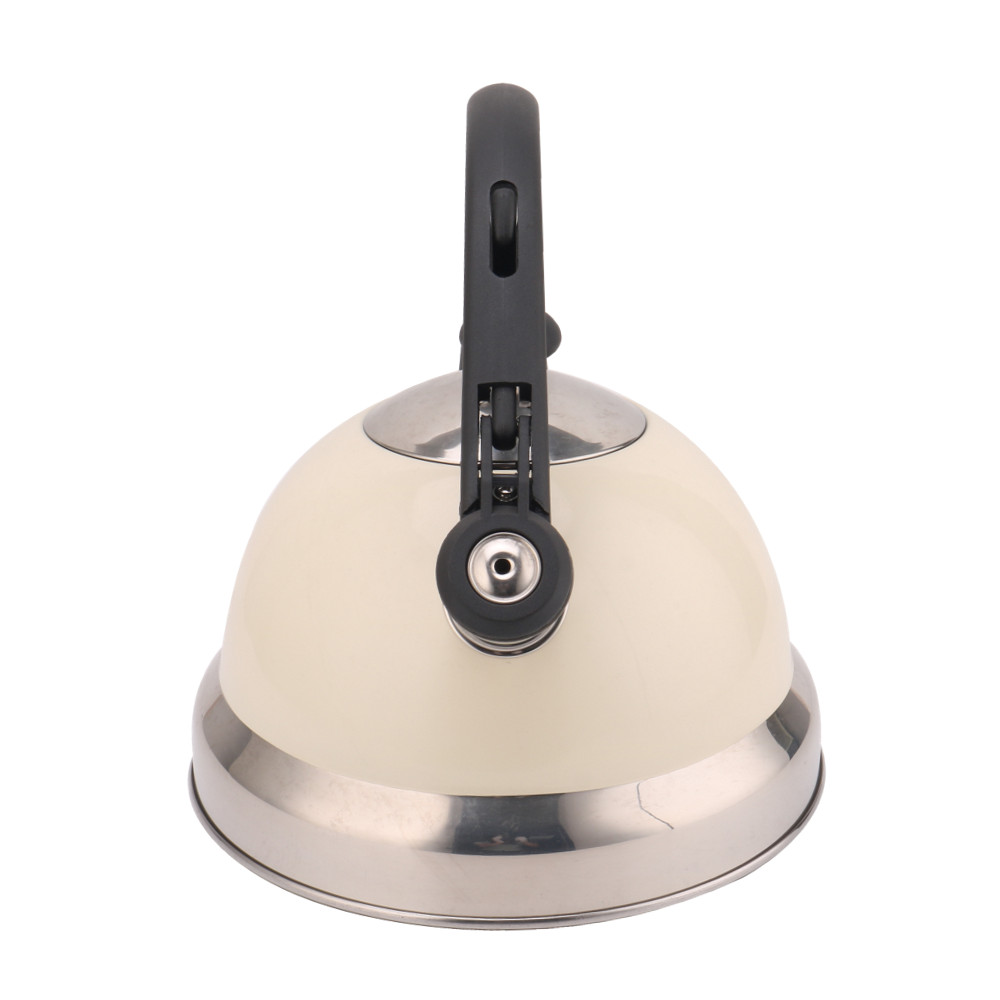 Whistling Tea Kettle With Silicone Handle (White) — 4